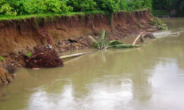 Rumah Warga Pembatang  Terancam Abrasi Sungai Kuantan